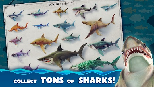 Hungry Shark World MOD APK [Unlimited Money | Menu] 2