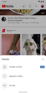 Vanced Youtube Pro Apk 1